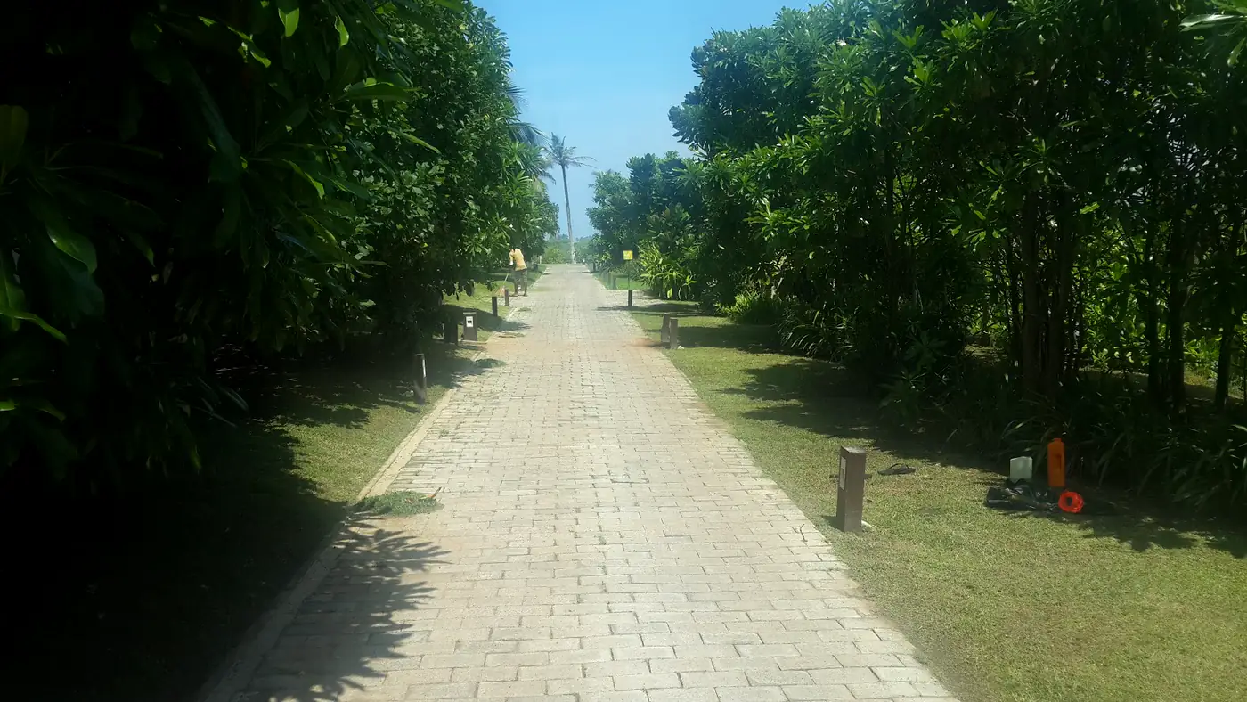 Buggy path curving through lawn and tropical planting at Hotel Anantaya, Chilaw