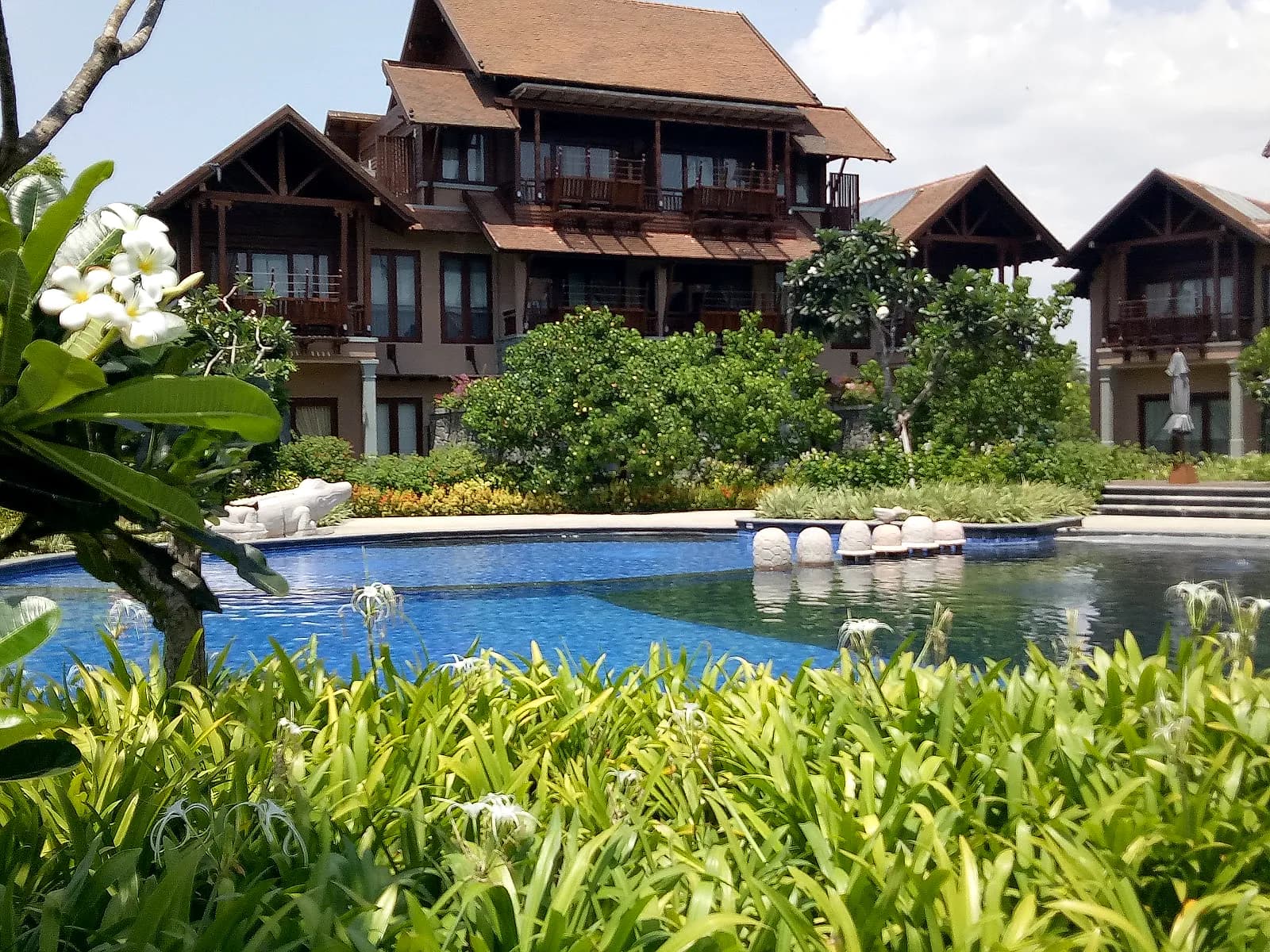 Frangipani in bloom above the pool and villas at Hotel Anantaya, Pasikuda
