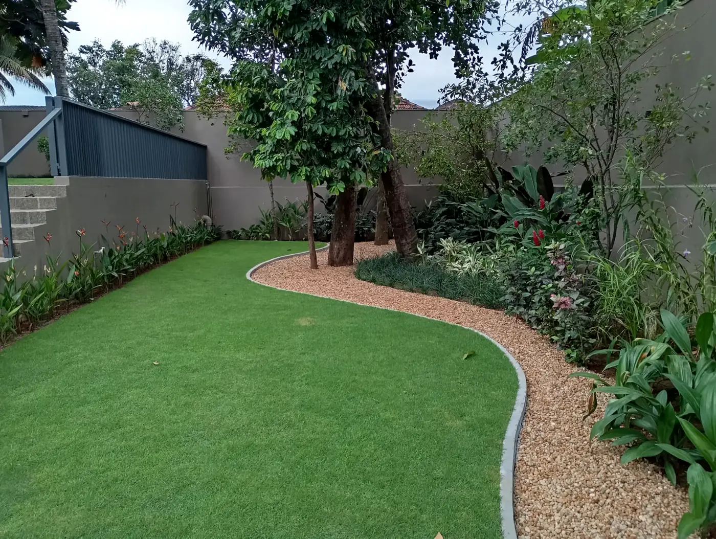 Curved lawn edge and layered shrub planting in a Colombo domestic garden
