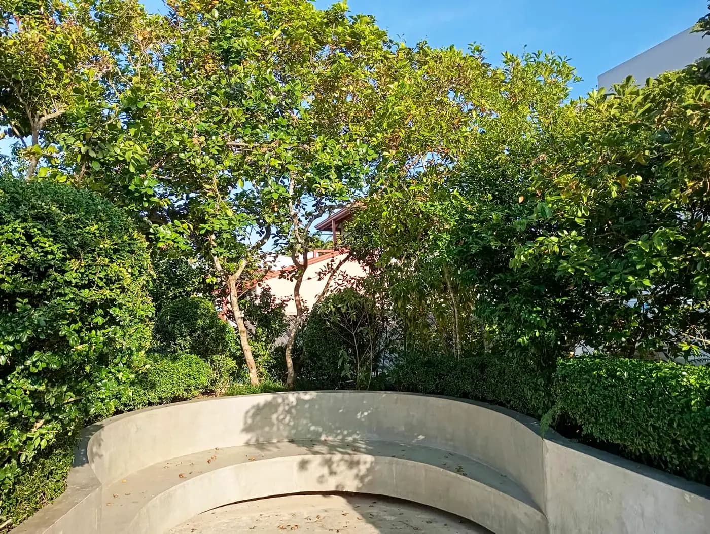 Close planting detail with textured tropical foliage