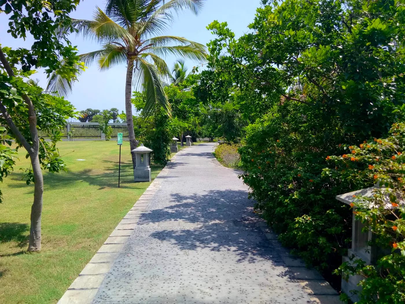 Palm-lined walkway through resort grounds