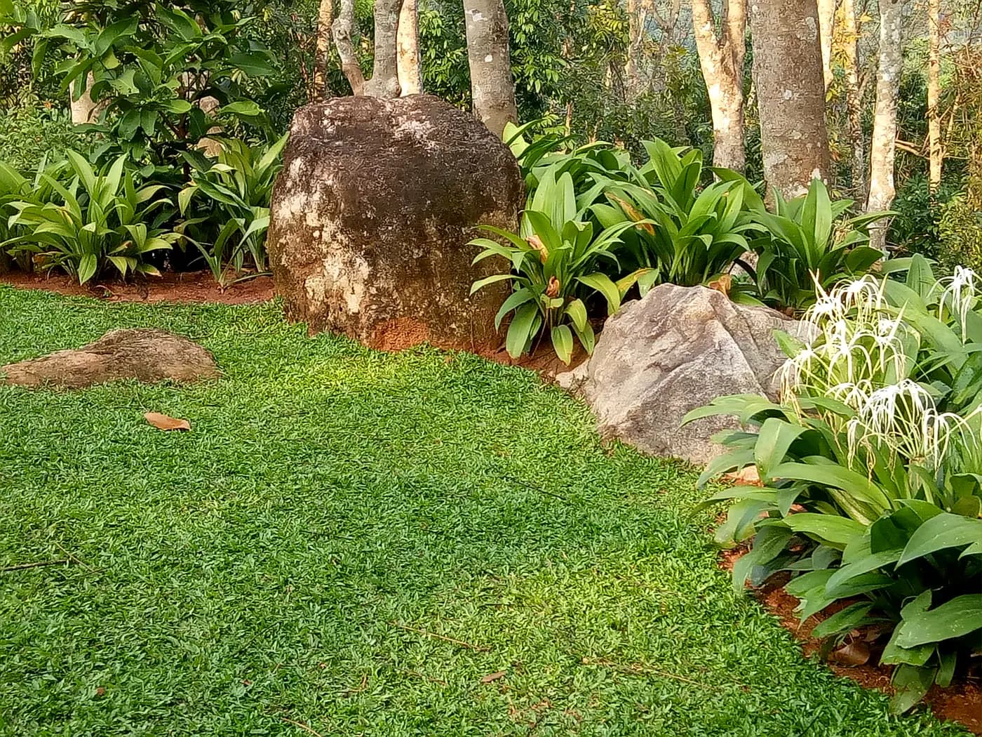 Boulder arrangement and terraced planting in a residential garden in Kandy