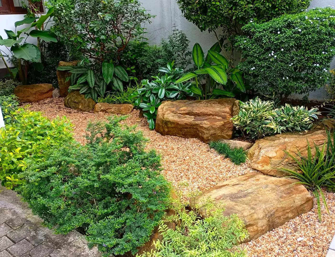 Rock garden with gravel bed and specimen planting