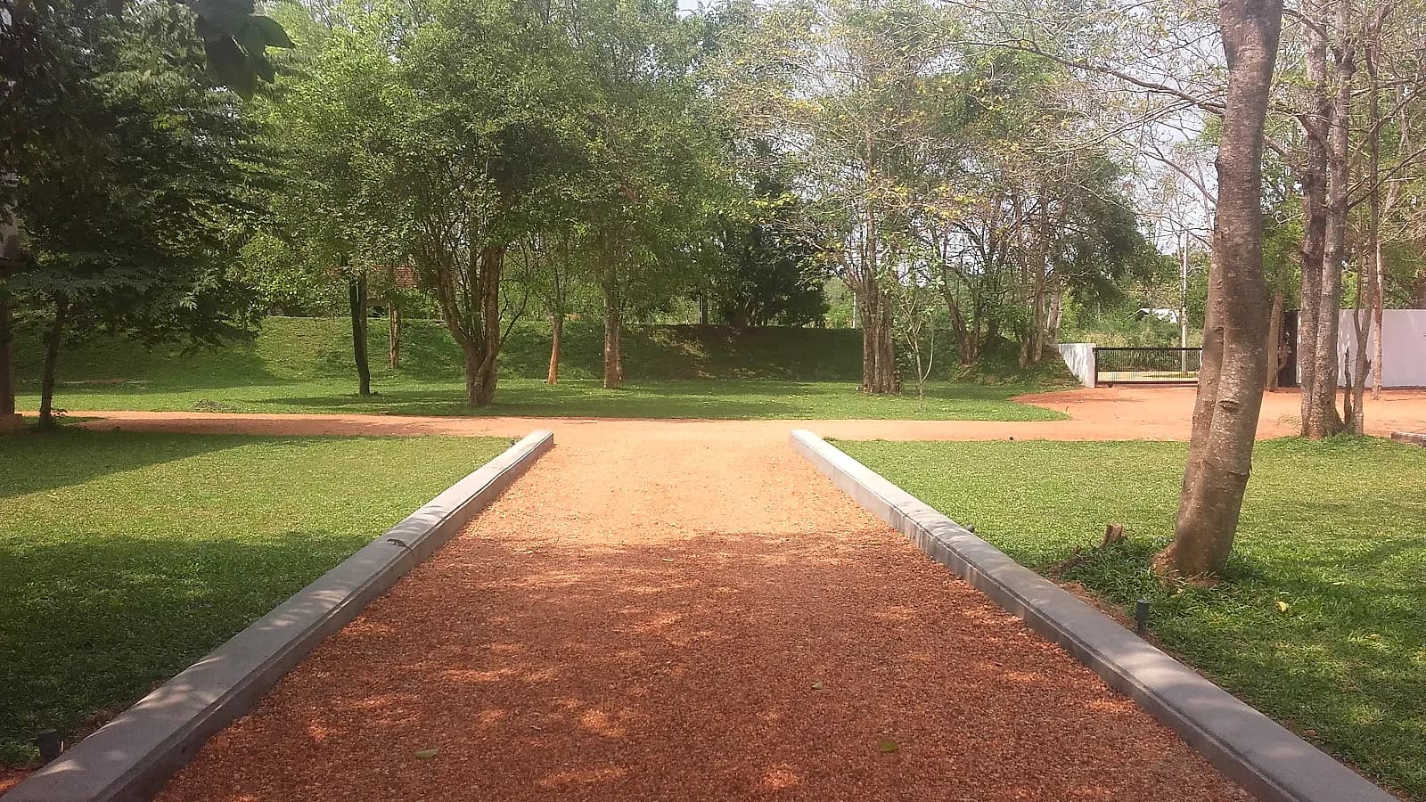 Path threading through dense tropical planting at Sigiriya Jungles