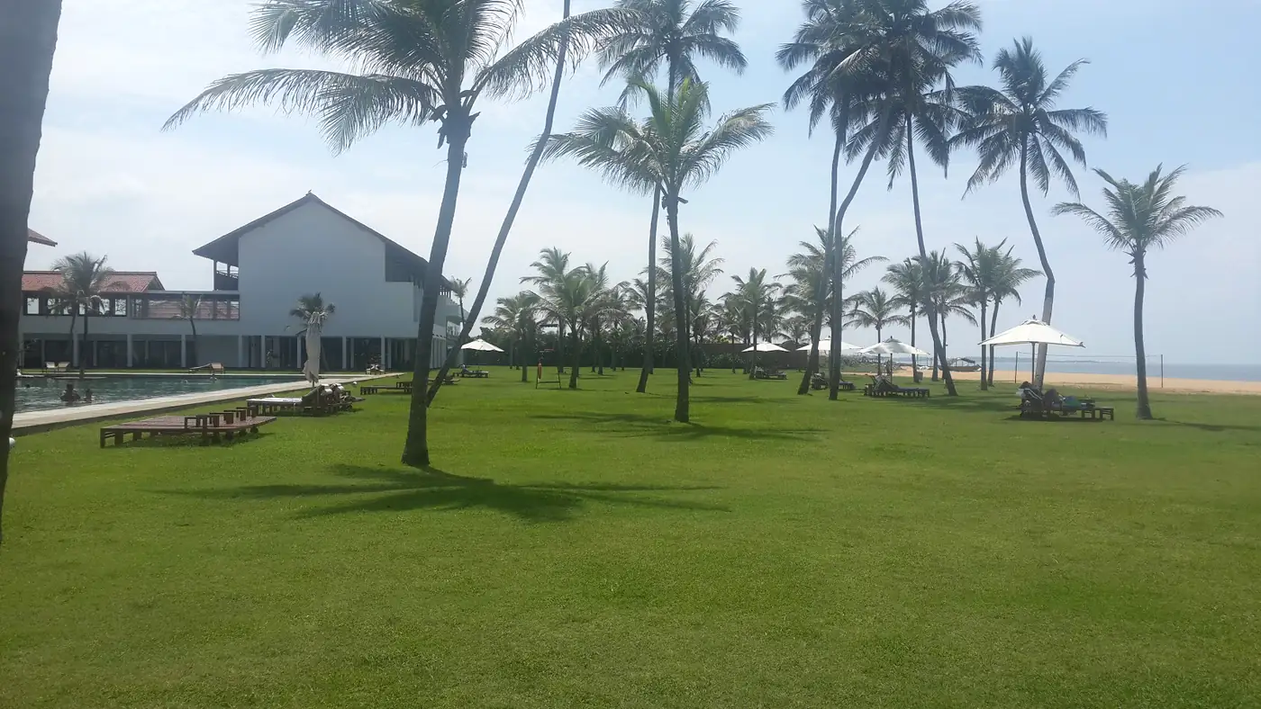 Mown lawn beneath established coconut palms at Hotel Anantaya, Chilaw