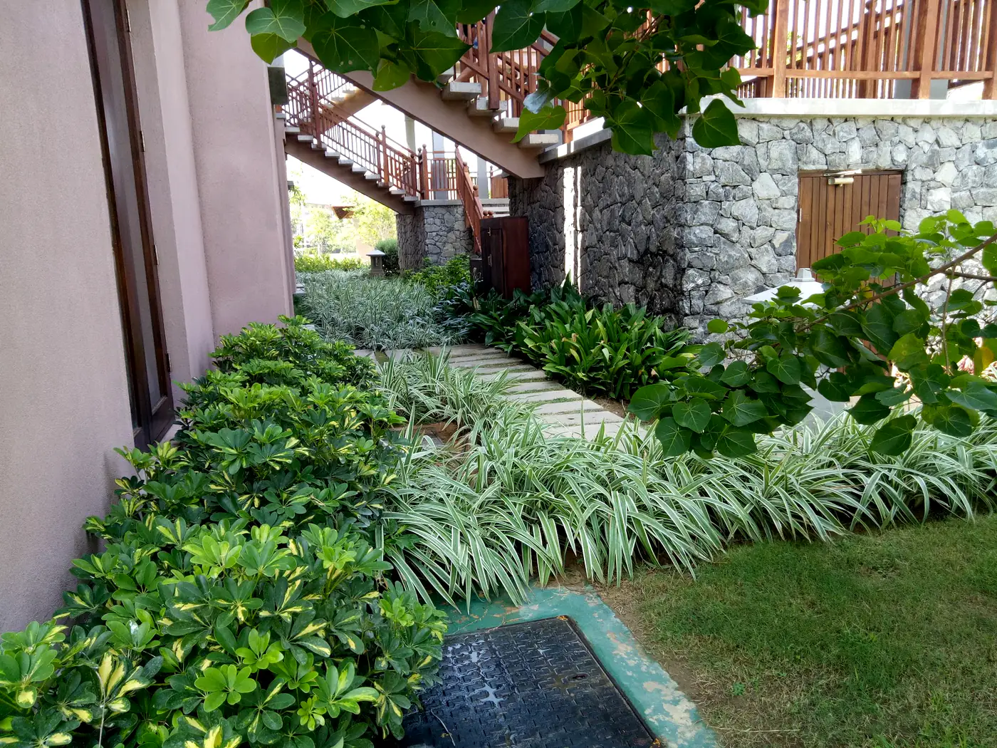 Lawn and shaped shrub planting at Hotel Anantaya, Pasikuda
