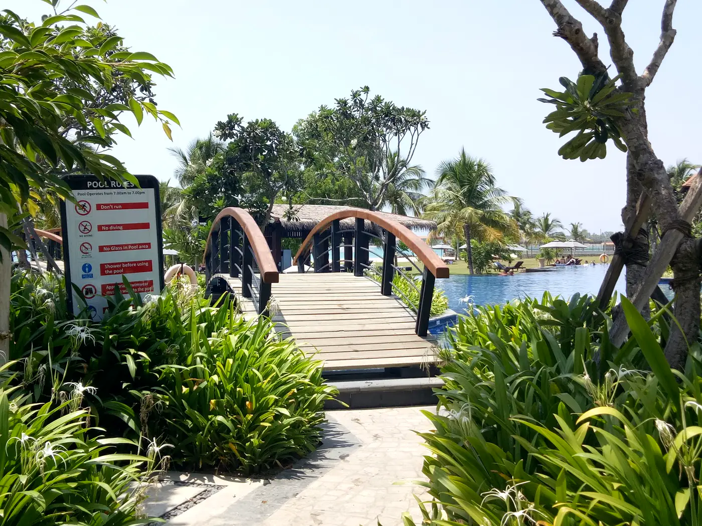 Planted bridge crossing within the grounds of Hotel Anantaya, Pasikuda