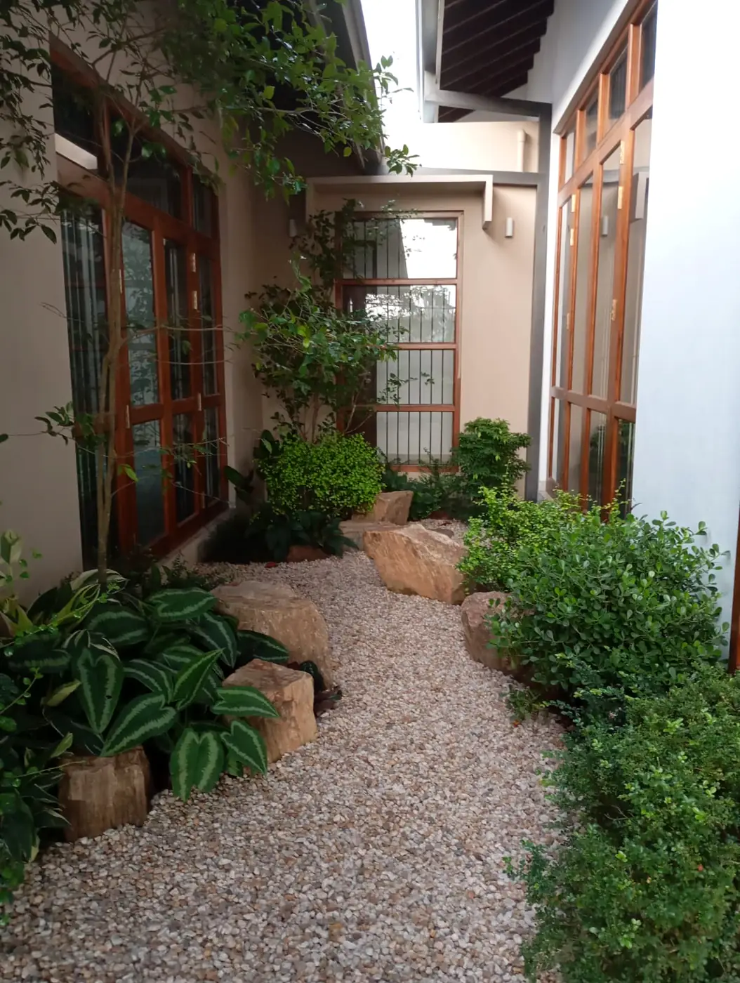 Densely planted domestic garden with lawn and ornamental foliage