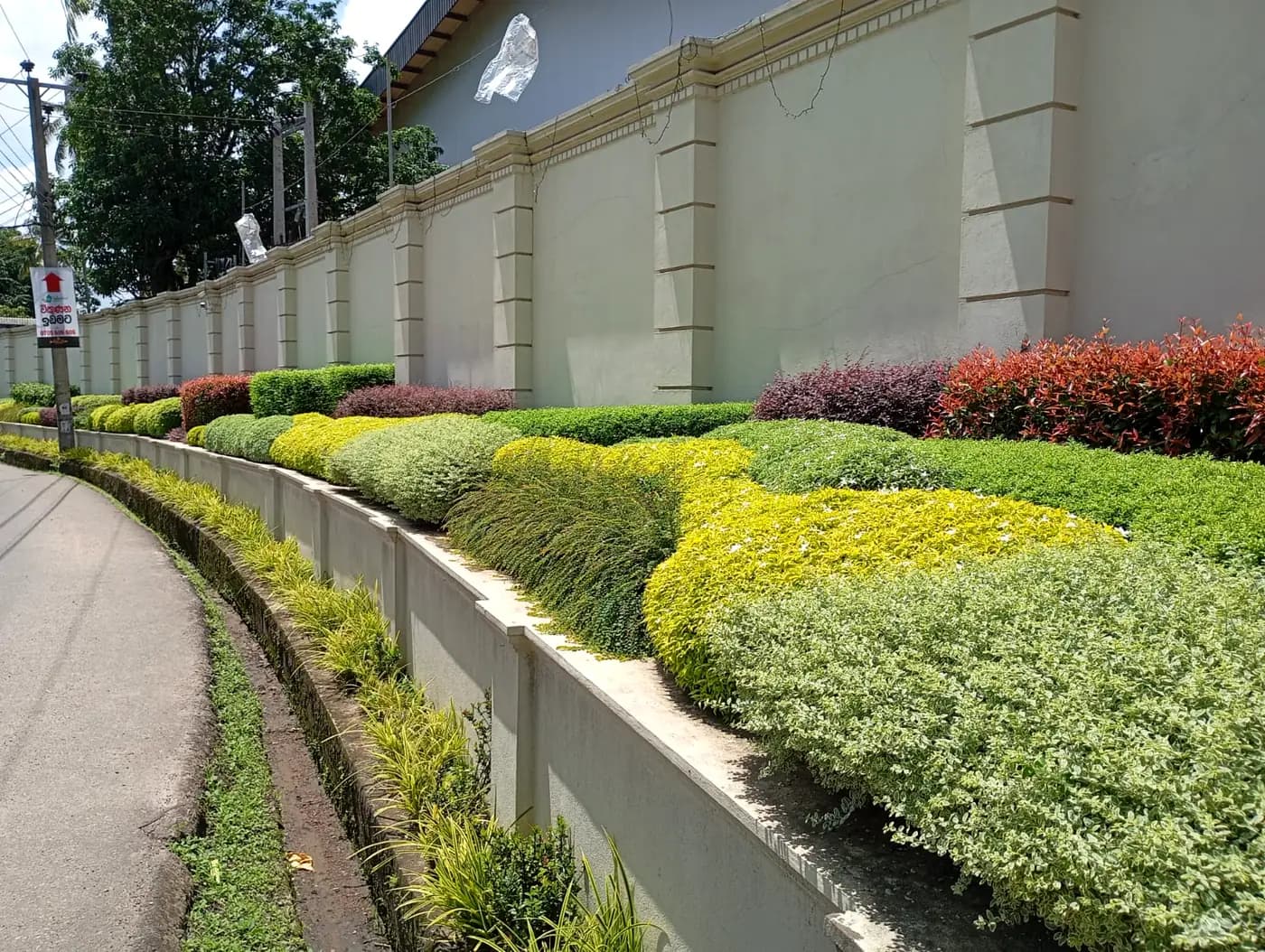 Roadside planting strip and clipped hedging along a factory approach road