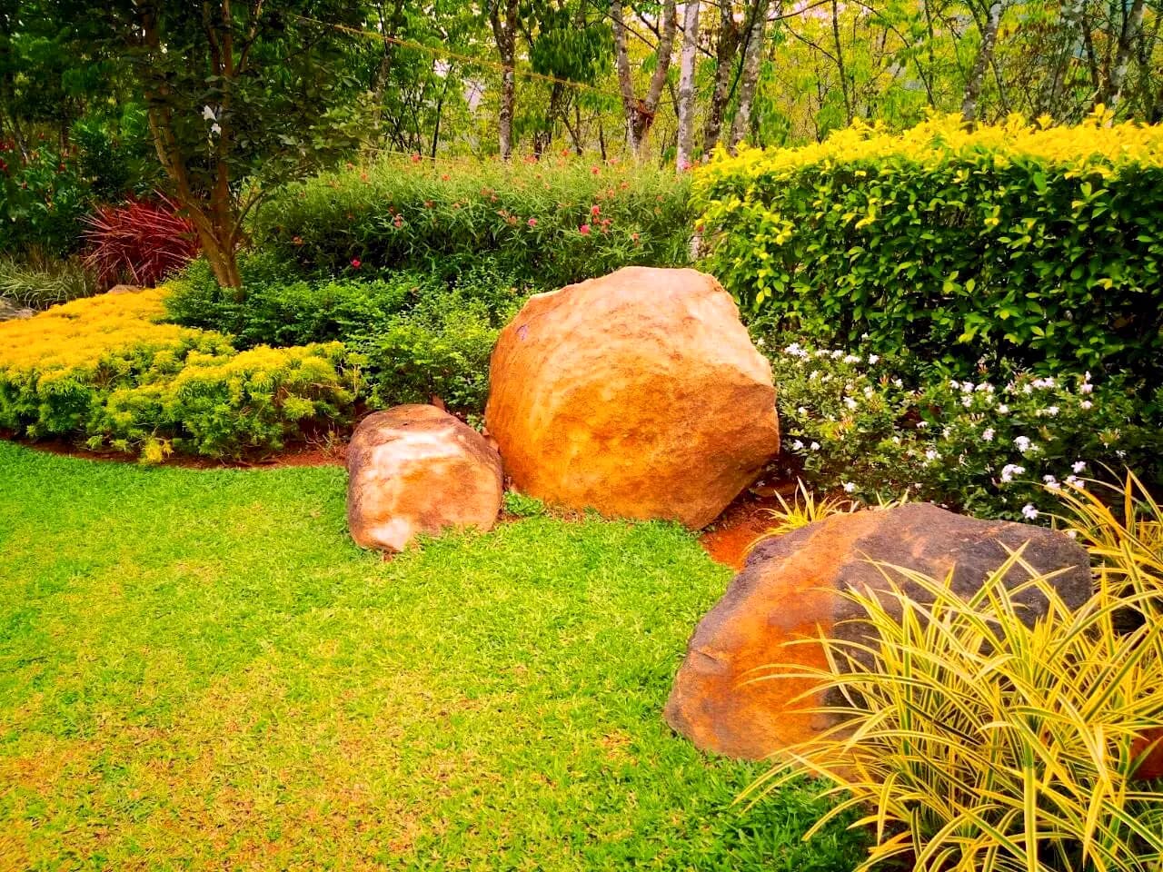 Detail of mixed ornamental planting and lawn edge