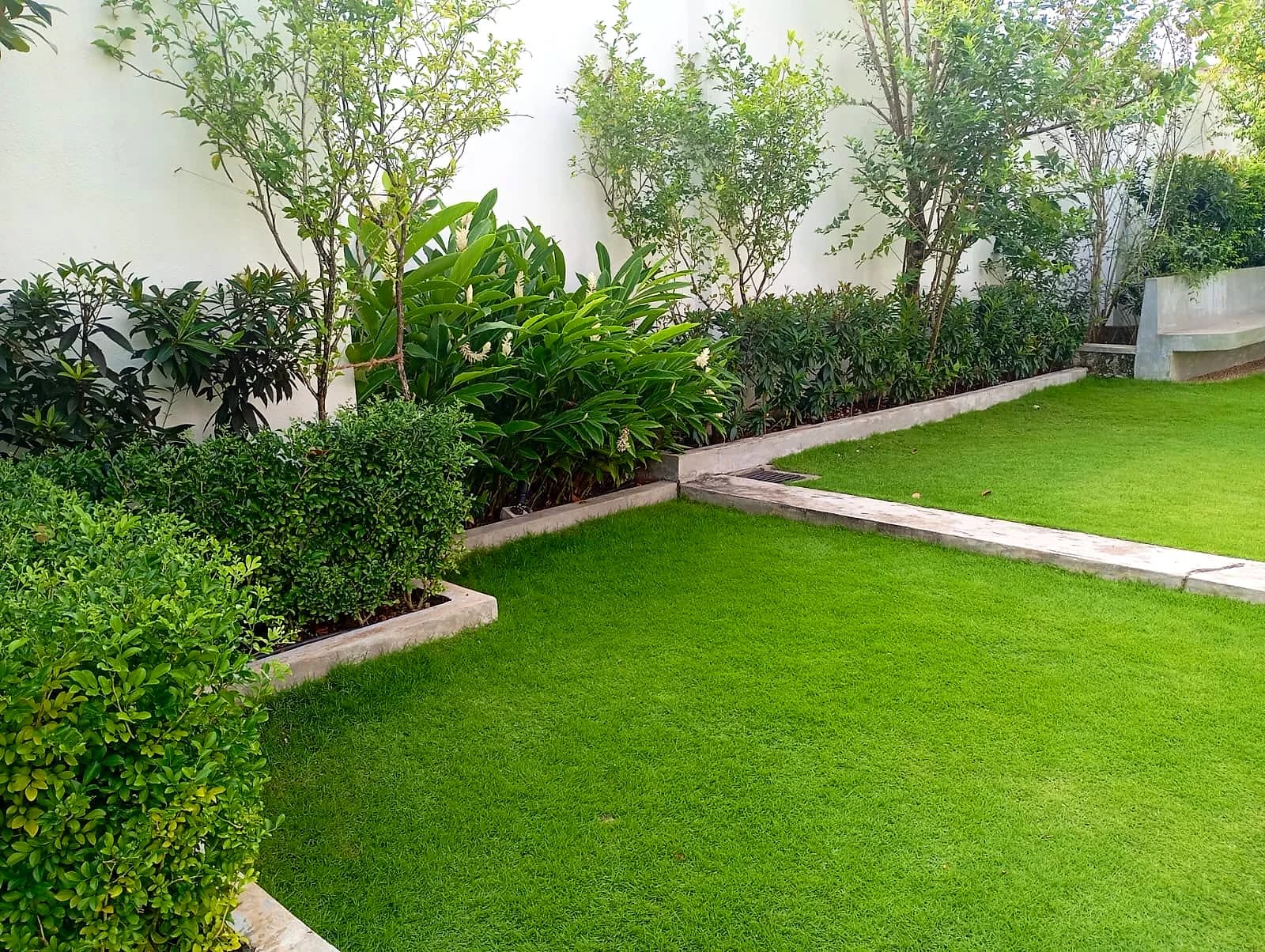 Established garden bed with layered shrub planting