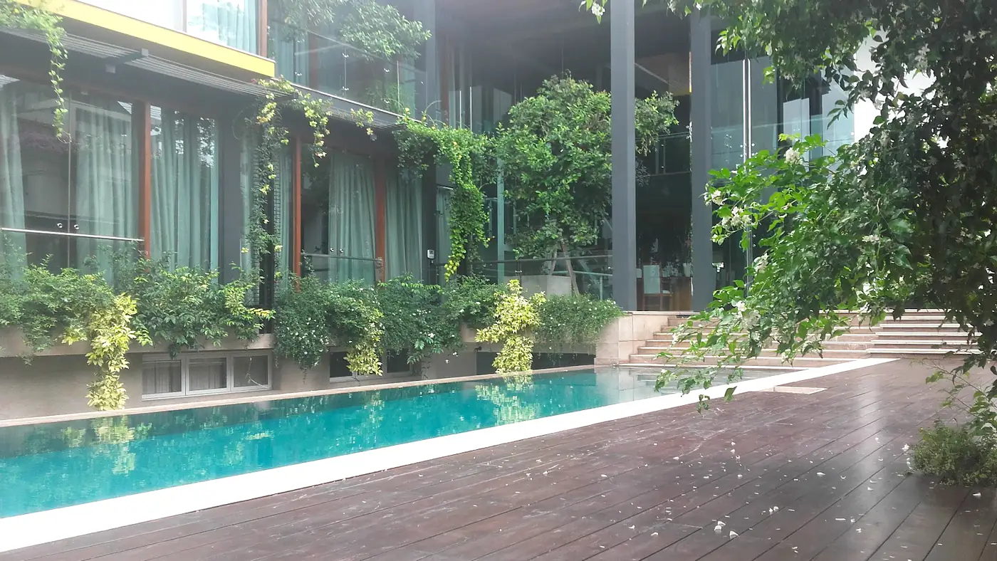 Planted borders framing a residential pool deck