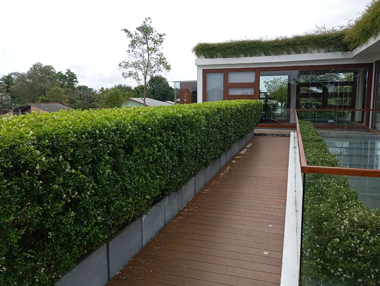 Upper-floor terrace planting at a private residence