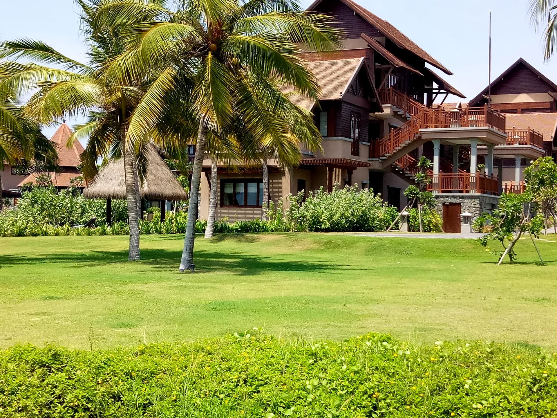 Coconut palms and open lawn fronting the villas at Hotel Anantaya