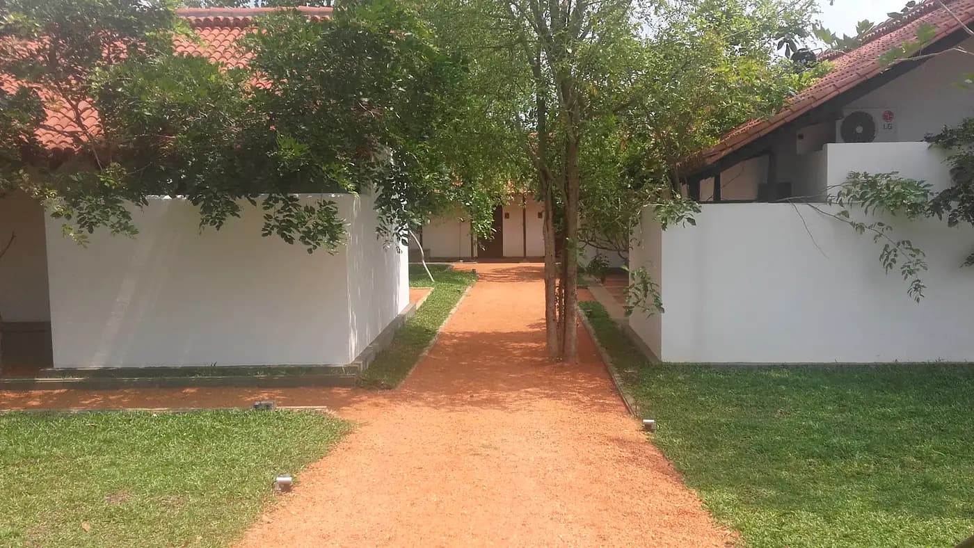 Naturalistic planting and pathway at Sigiriya Jungles